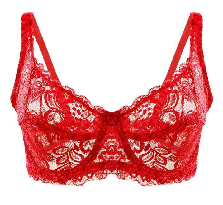 Elegance Lace Push Up Bra – Lift & Shape Support Bra aliexpress