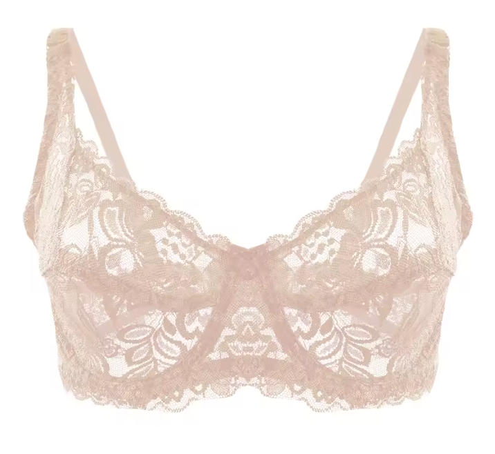 Elegance Lace Push Up Bra – Lift & Shape Support Bra aliexpress