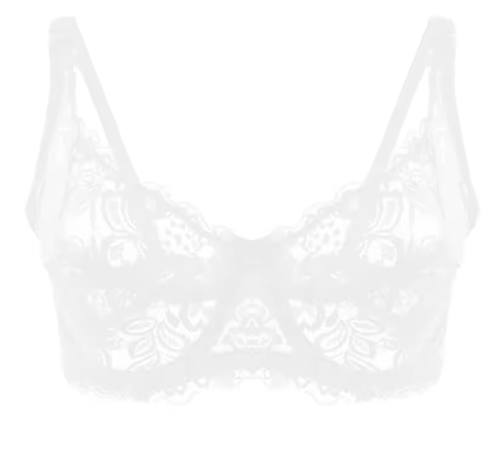 Elegance Lace Push Up Bra – Lift & Shape Support Bra aliexpress